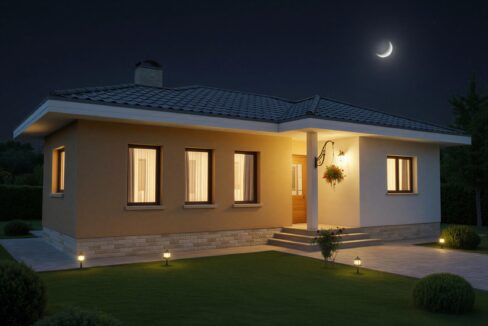 1-001 - vedere noaptea